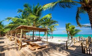 8 - Hibiscus Beach Club